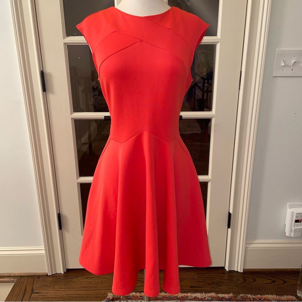 Ted Baker “Arwyn” Skater Dress